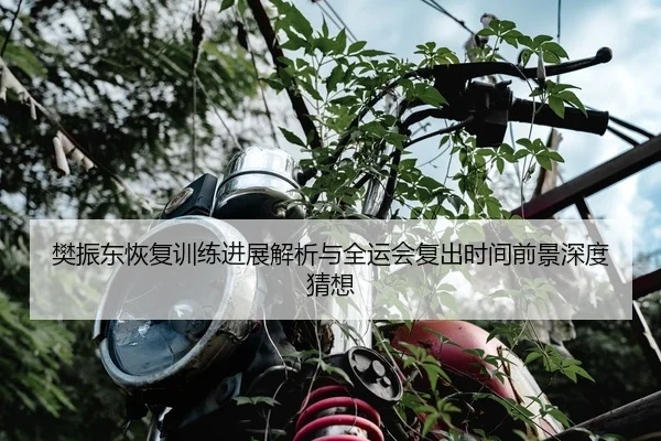 樊振东恢复训练进展解析与全运会复出时间前景深度猜想