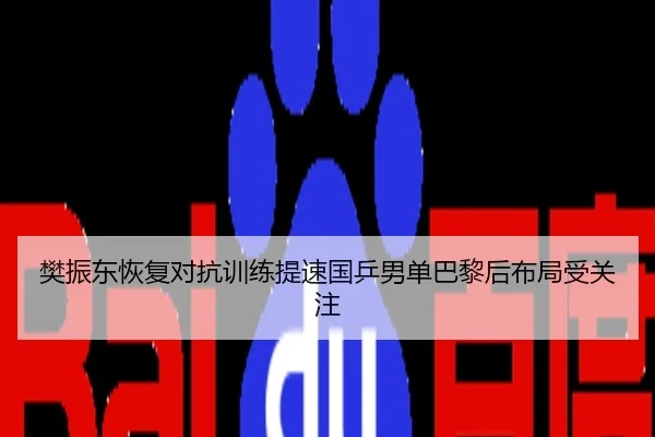 樊振东恢复对抗训练提速国乒男单巴黎后布局受关注