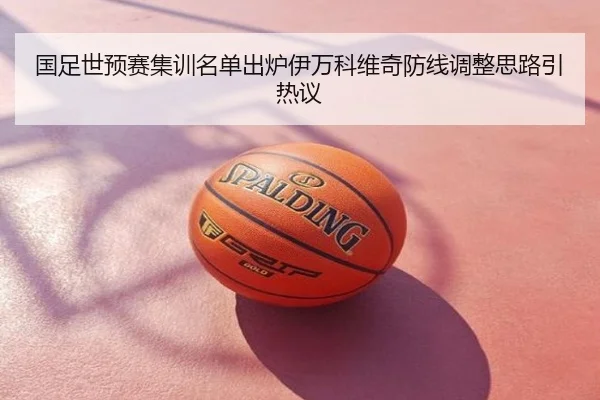 国足世预赛集训名单出炉伊万科维奇防线调整思路引热议